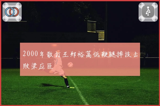 2000年散打王郑裕蒿低鞭腿摔技击败梁应臣