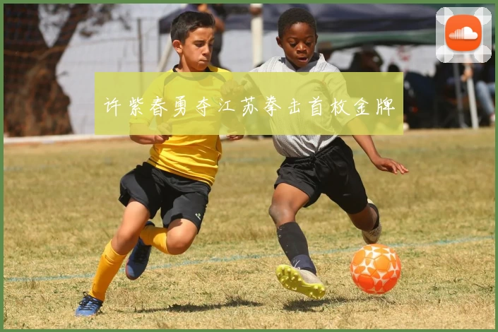 许紫春勇夺江苏拳击首枚金牌