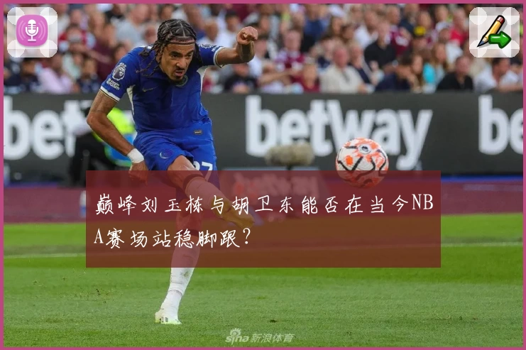 巅峰刘玉栋与胡卫东能否在当今NBA赛场站稳脚跟?