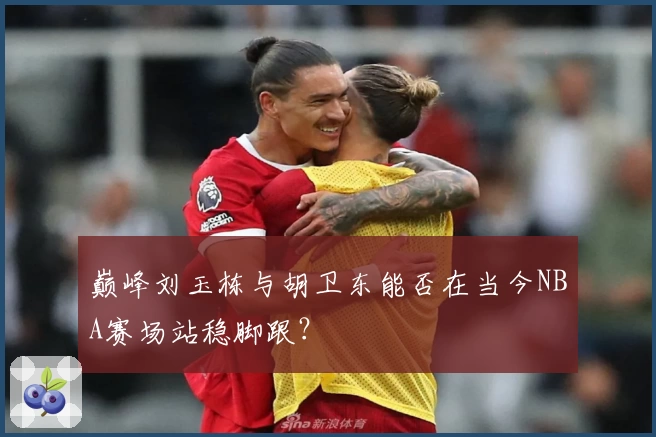 巅峰刘玉栋与胡卫东能否在当今NBA赛场站稳脚跟？